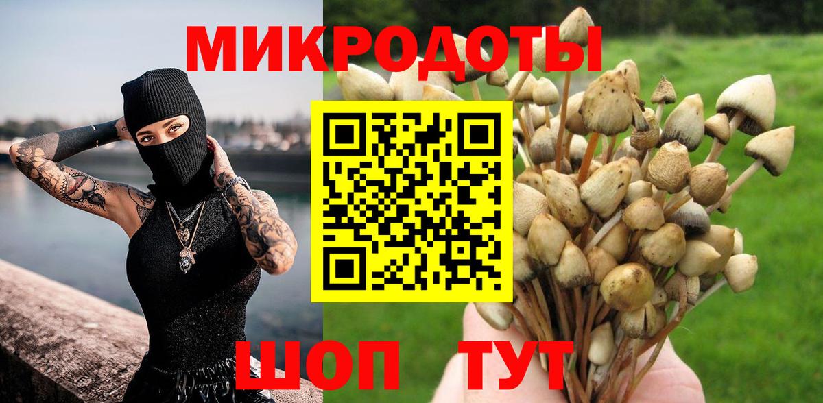 Галлюциногенные грибы GOLDEN TEACHER  Вход с VPN  Жуковский 