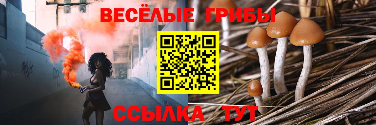 Галлюциногенные грибы MAGIC MUSHROOMS Жуковский